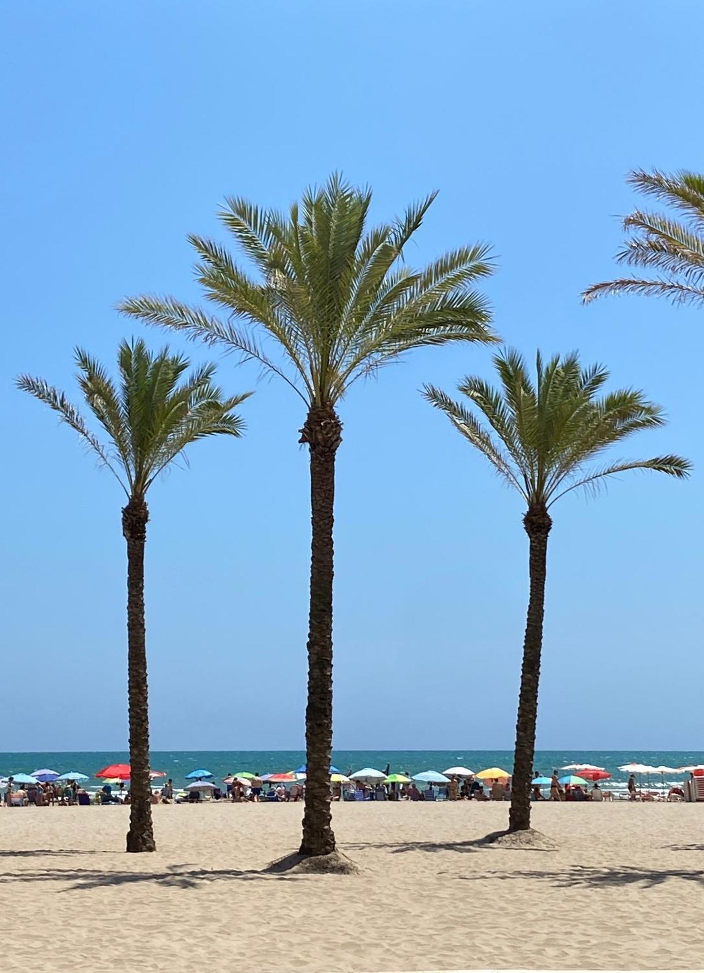 New Stylish Beach Front Apartment Cullera Luaran gambar